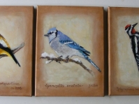 Ptaki ,24x18 cm ,olej ,płótno ,autor Jola Kempa-Małecka